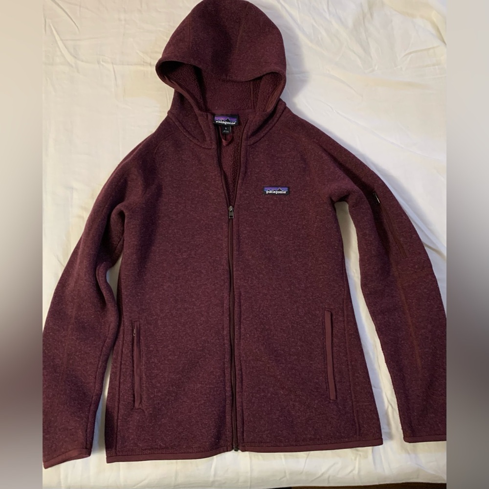 Patagonia better sweater fleece hoodie
